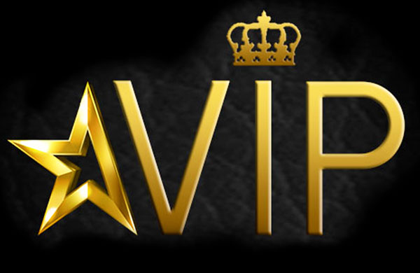 Pass VIP 6 mois : accès illimité à 150h+ de contenu